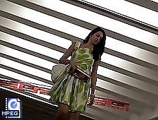 3 movies - Public up skirt pussy hq videos