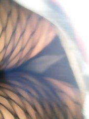 10 pictures - upskirt times picture gallery
