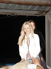 12 pictures - Bare tits and panty upskirt