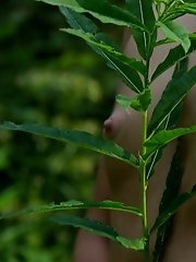 12 pictures - Real nudists sex and light erotica