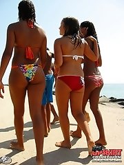 12 pictures - Super hot bikinis worn by busty fems