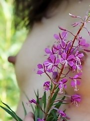 12 pictures - Invitation to see their nude clefts