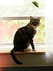 8 pictures - Erna O'Hara Some Kinda Heaven