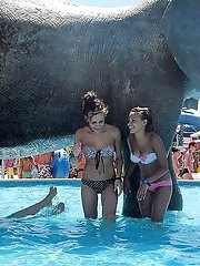 12 pictures - Cute bikini models walk on the beach