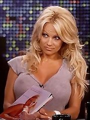 8 pictures - celebrity upskirt panties picture gallery