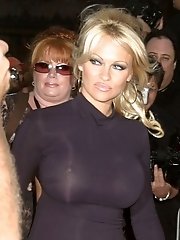 8 pictures - celebrity upskirt panties picture gallery